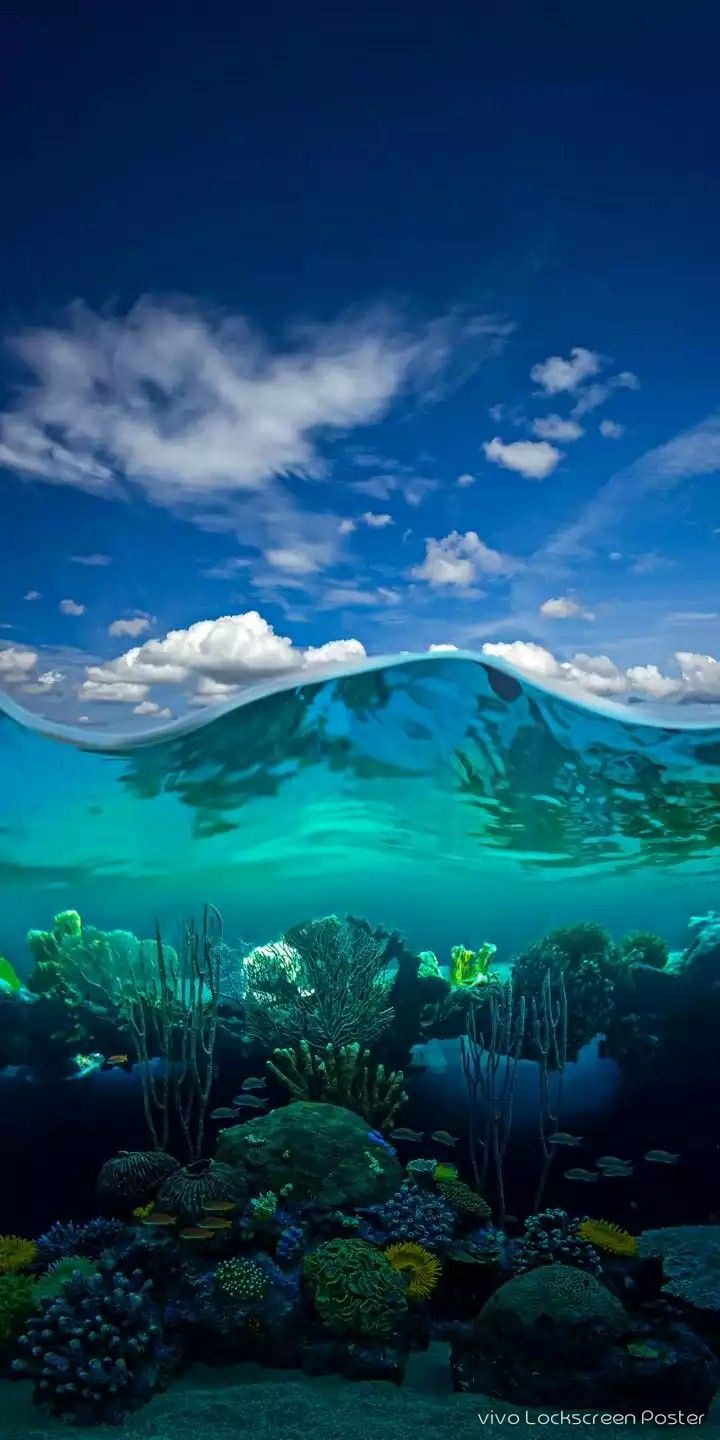 Underwater wallpaper, iPhone wallpaper