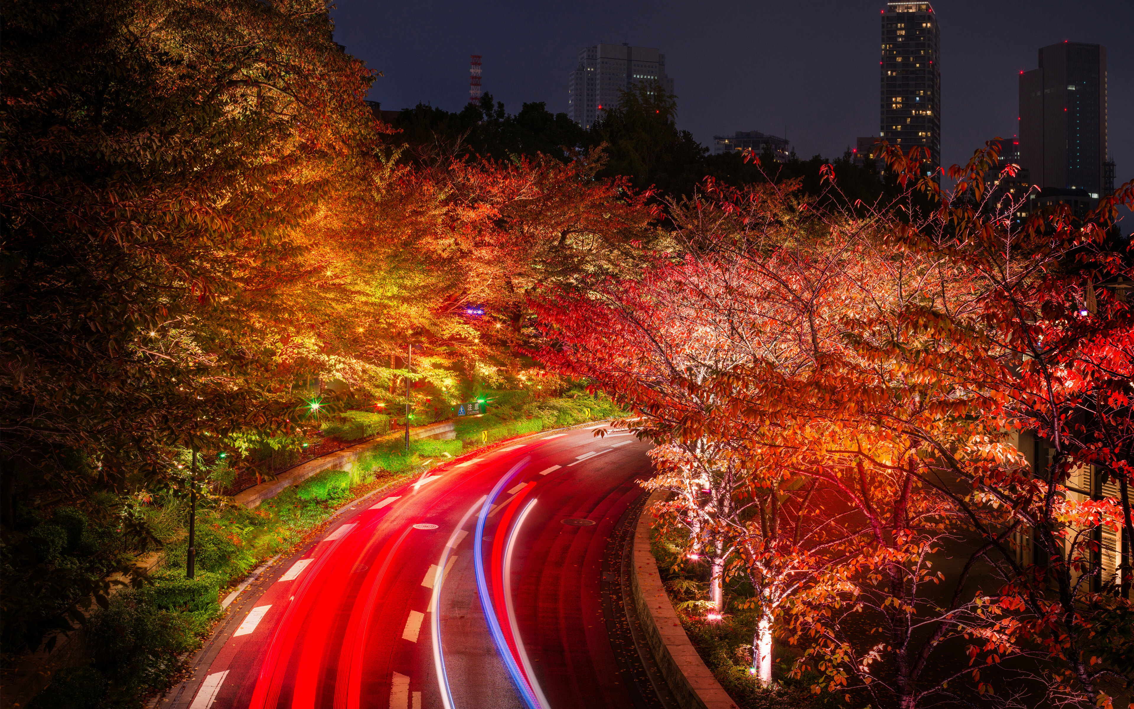 Japan Tokyo Roads Autumn
