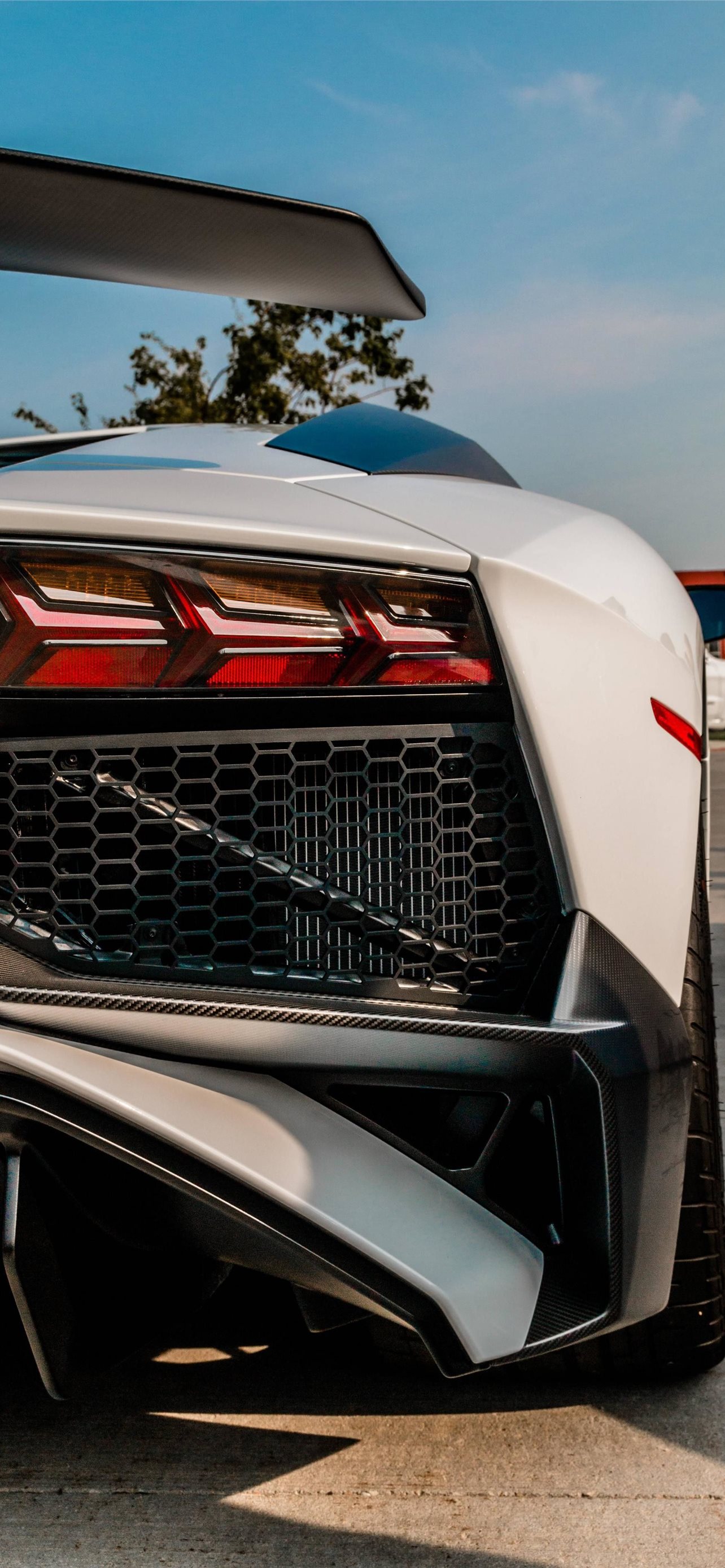 Lamborghini Veneno Top Free Lamborghini