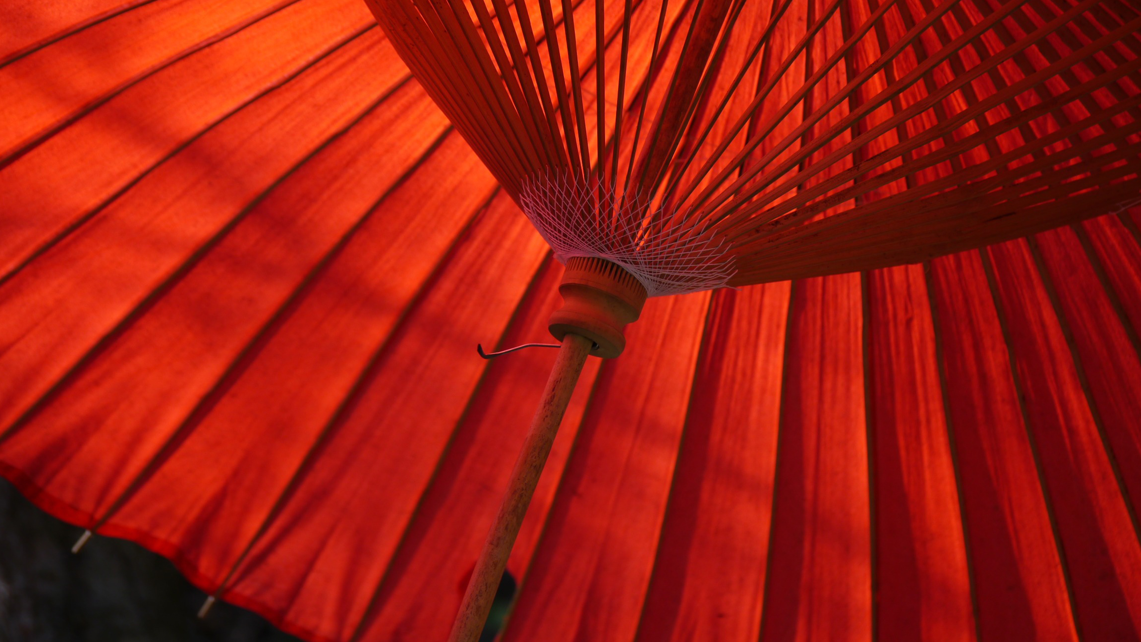 Japanese Umbrella Wallpaper 4K
