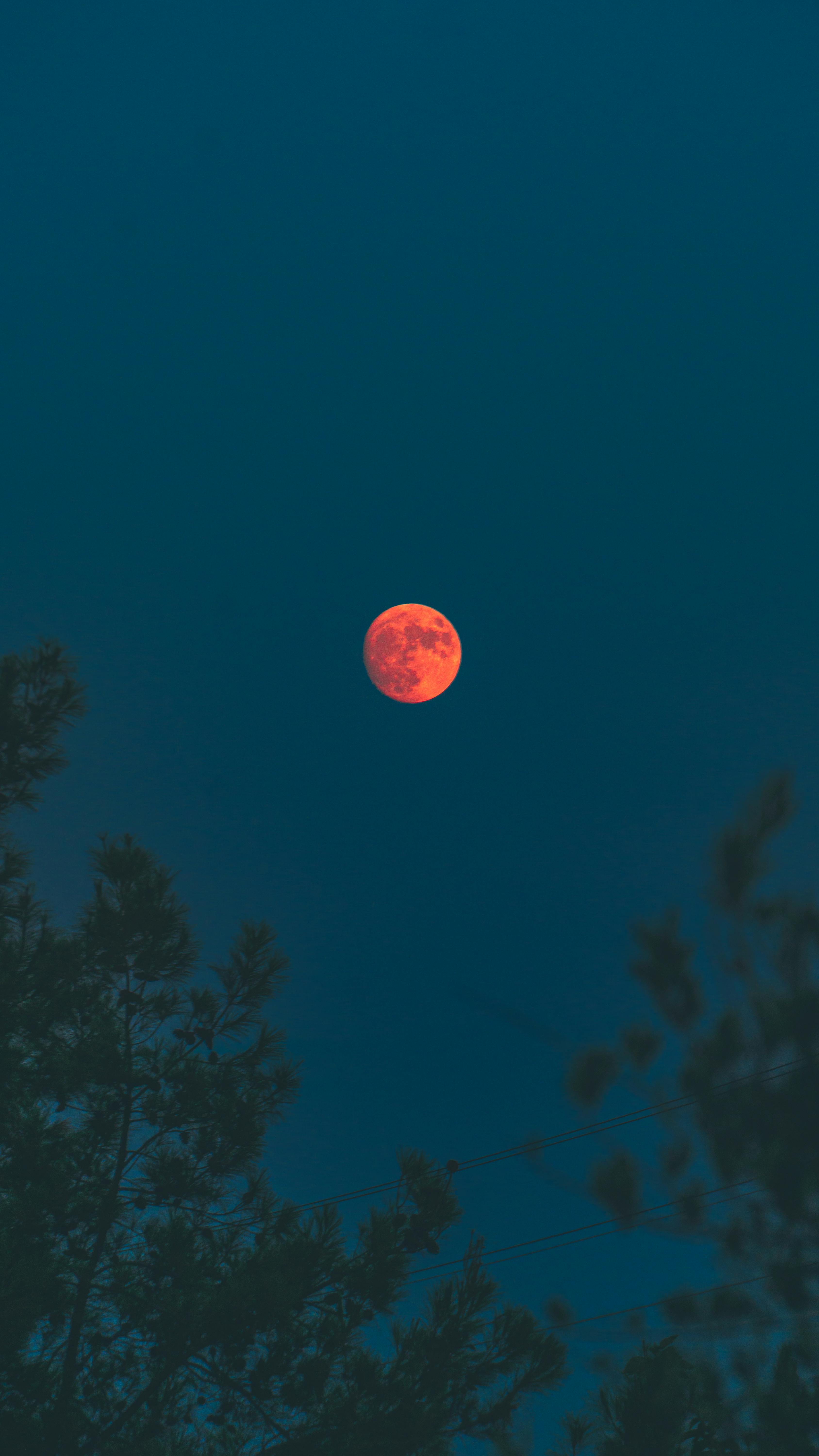 Blood Moon Photo, Download The BEST