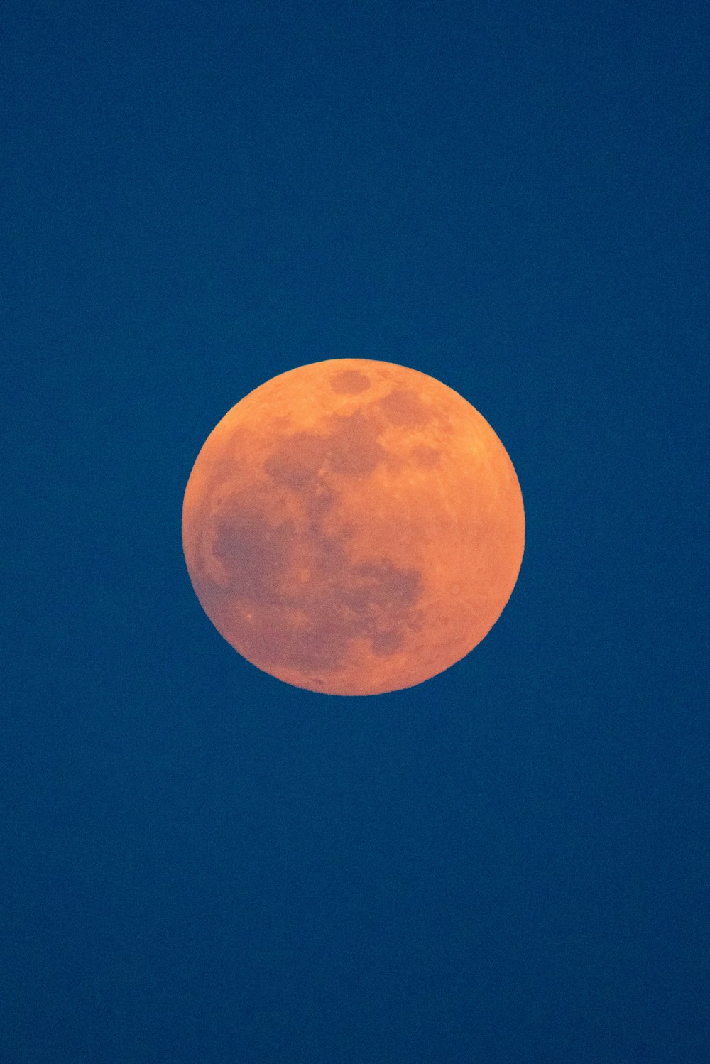 Photo of bloody red moon photo