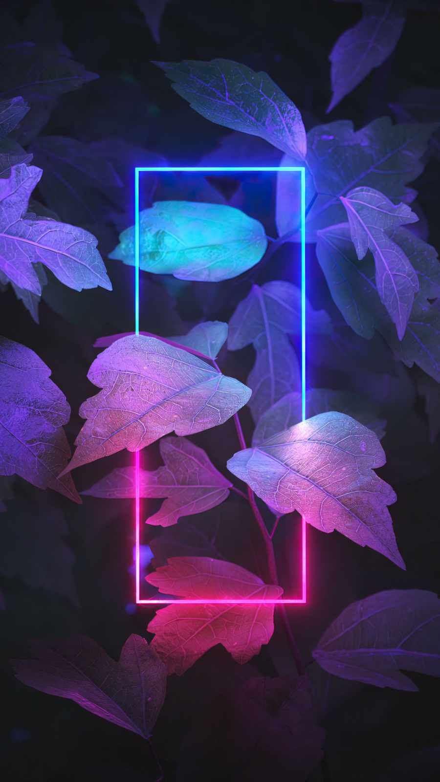 Neon Light Plants Foliage iPhone