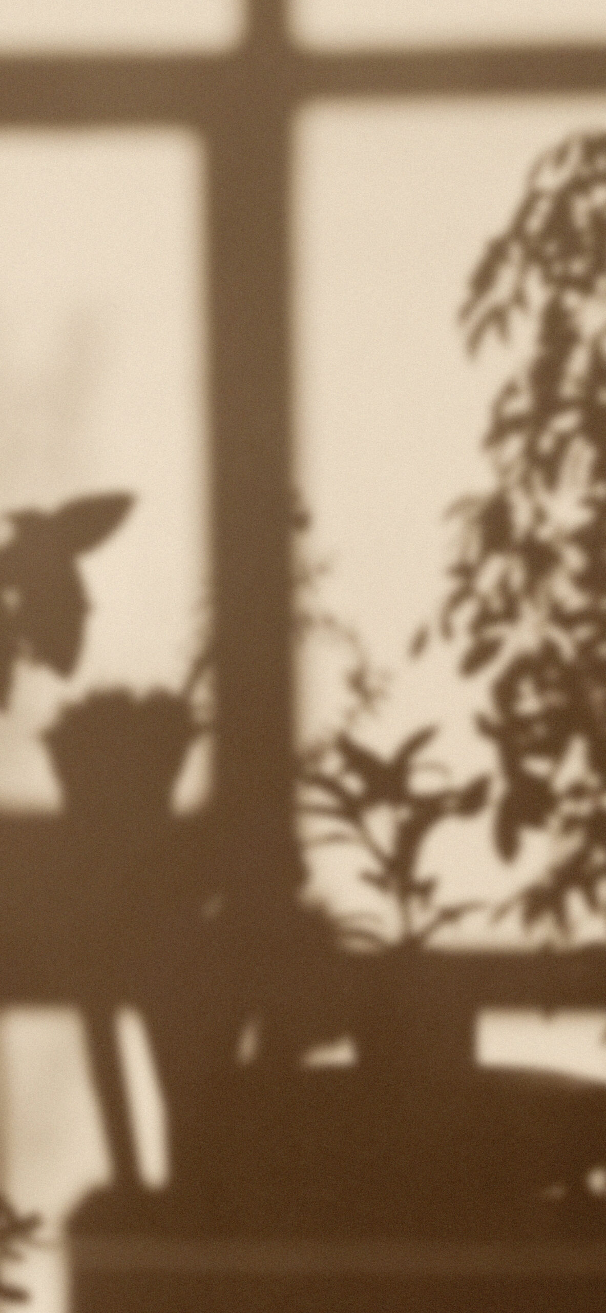 Light Brown Aesthetic Wallpaper