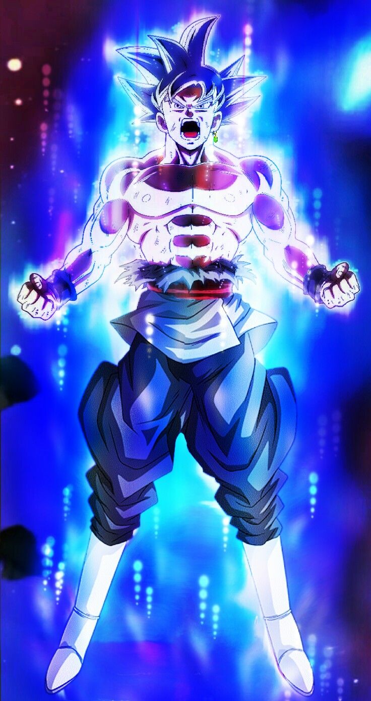 Goku Black Mastered Ultra Instinct