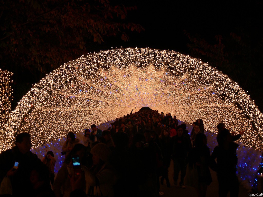 Japan's Festival of Lights and Tunnel