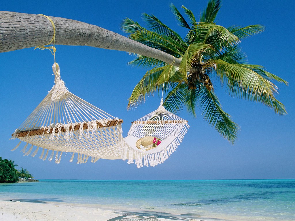 Tropical Beach Sunset With Hammock Wallpaper Cool Desktop