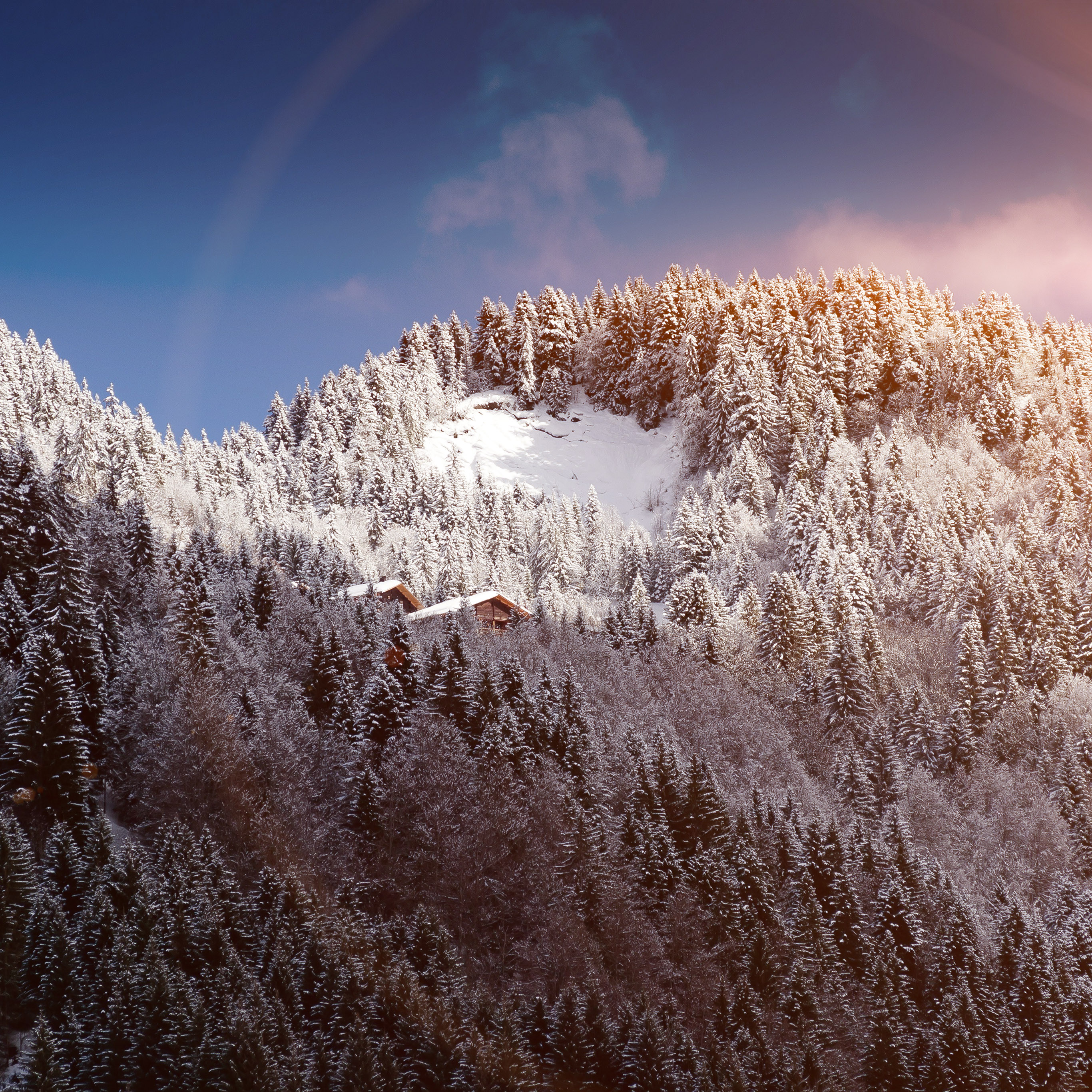 Winter Nature Flare Wallpaper