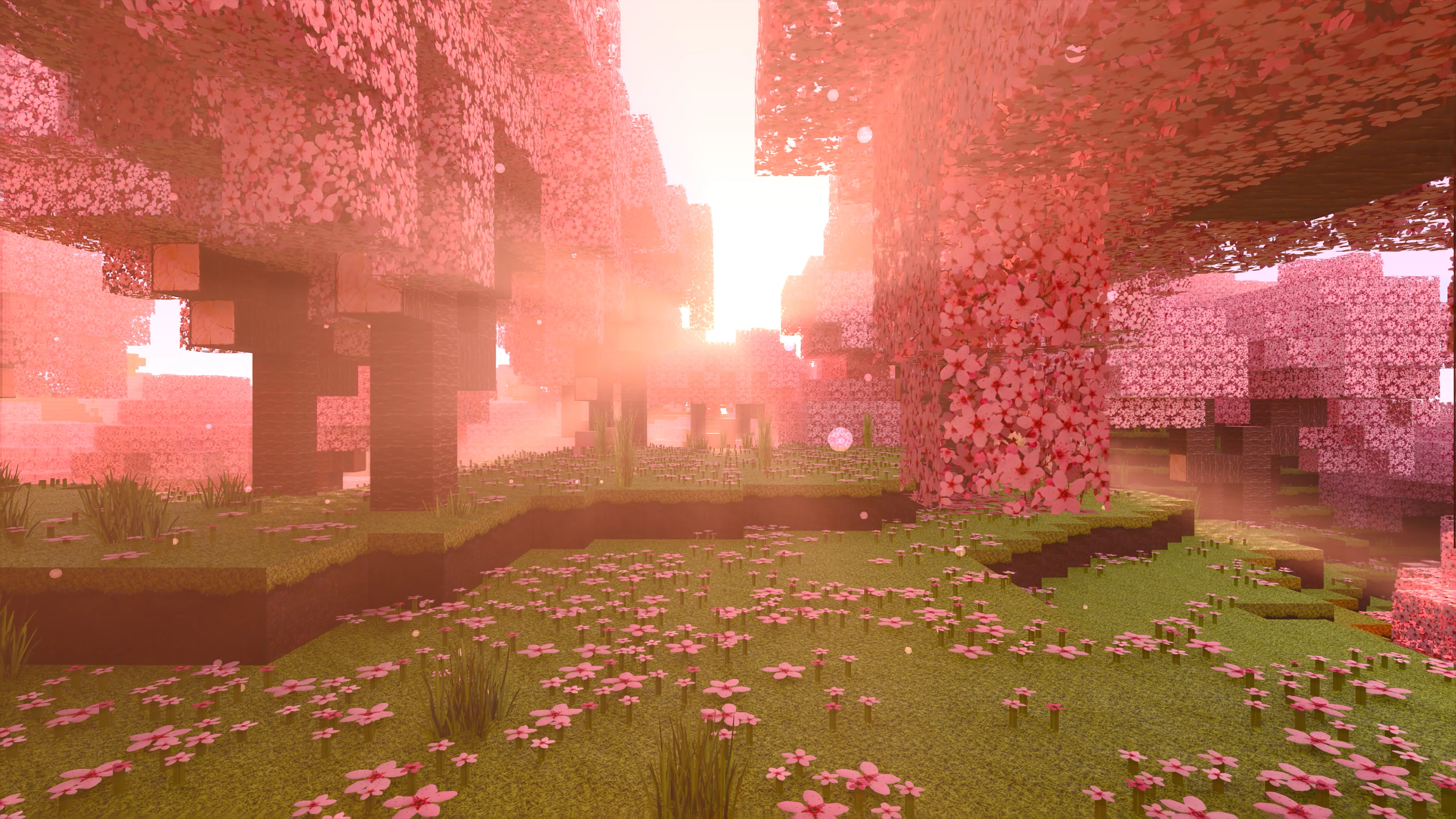Cherry Blossom biome in HD and RTX, r