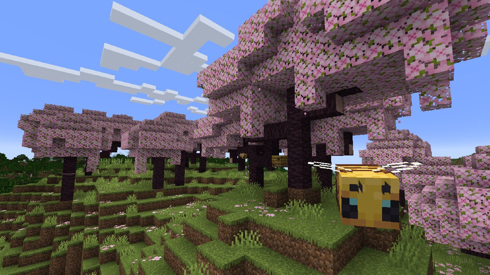 cherry blossom biome