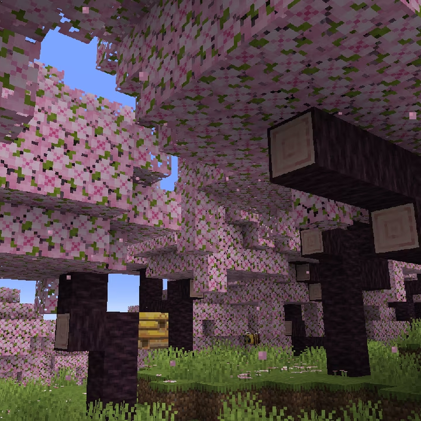 cherry blossom biome and archeology
