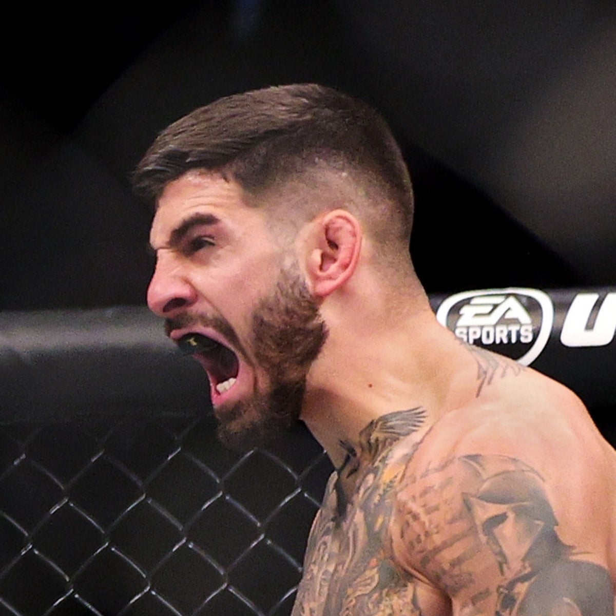 Ilia Topuria: UFC's rising star has a