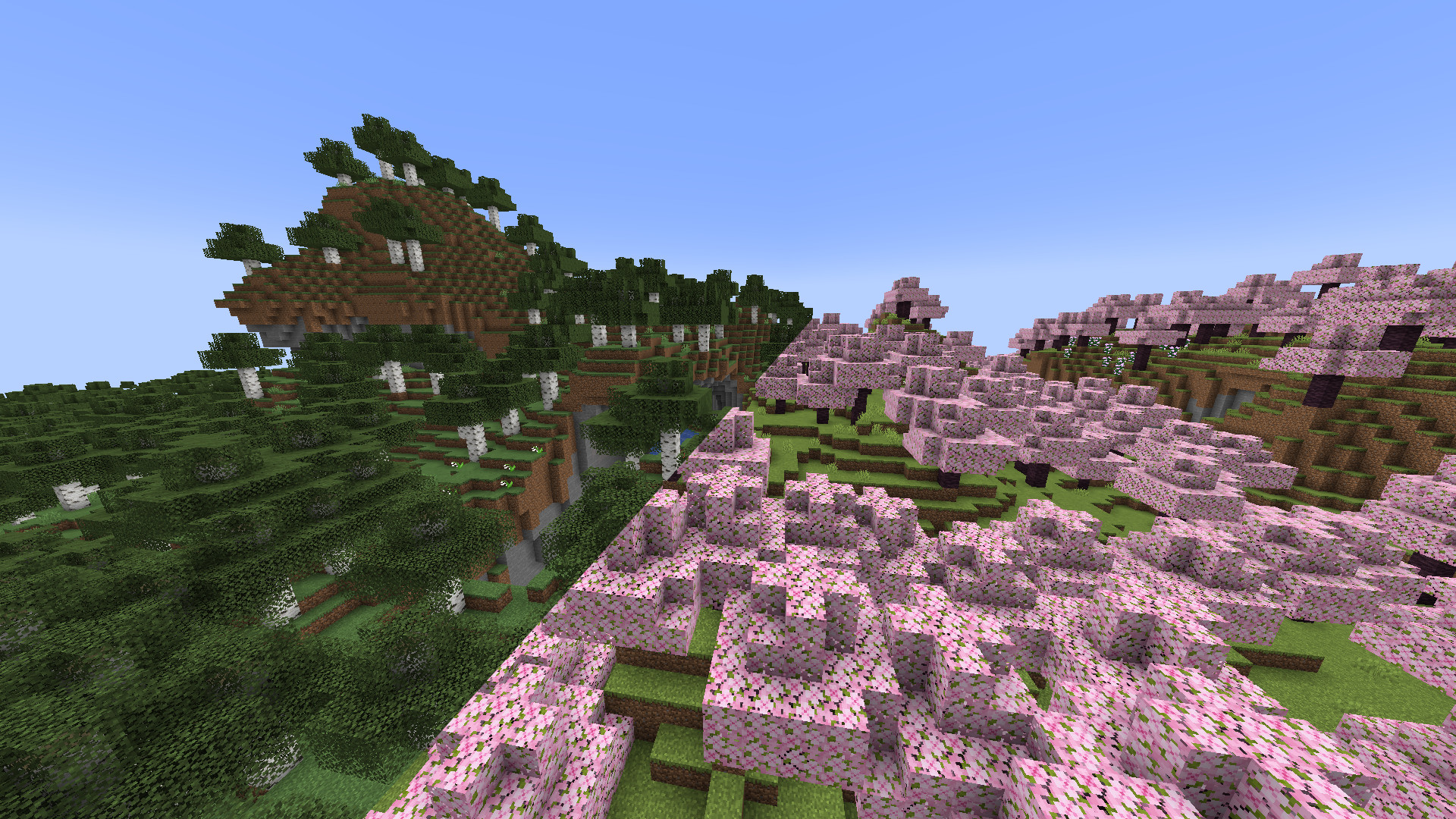 Birch to Cherry Blossom