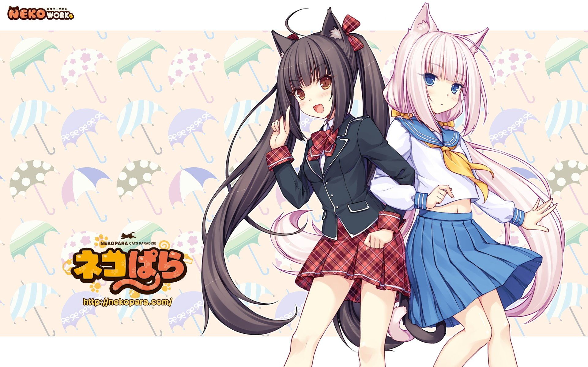 Anime #Nekopara Chocola Nekopara