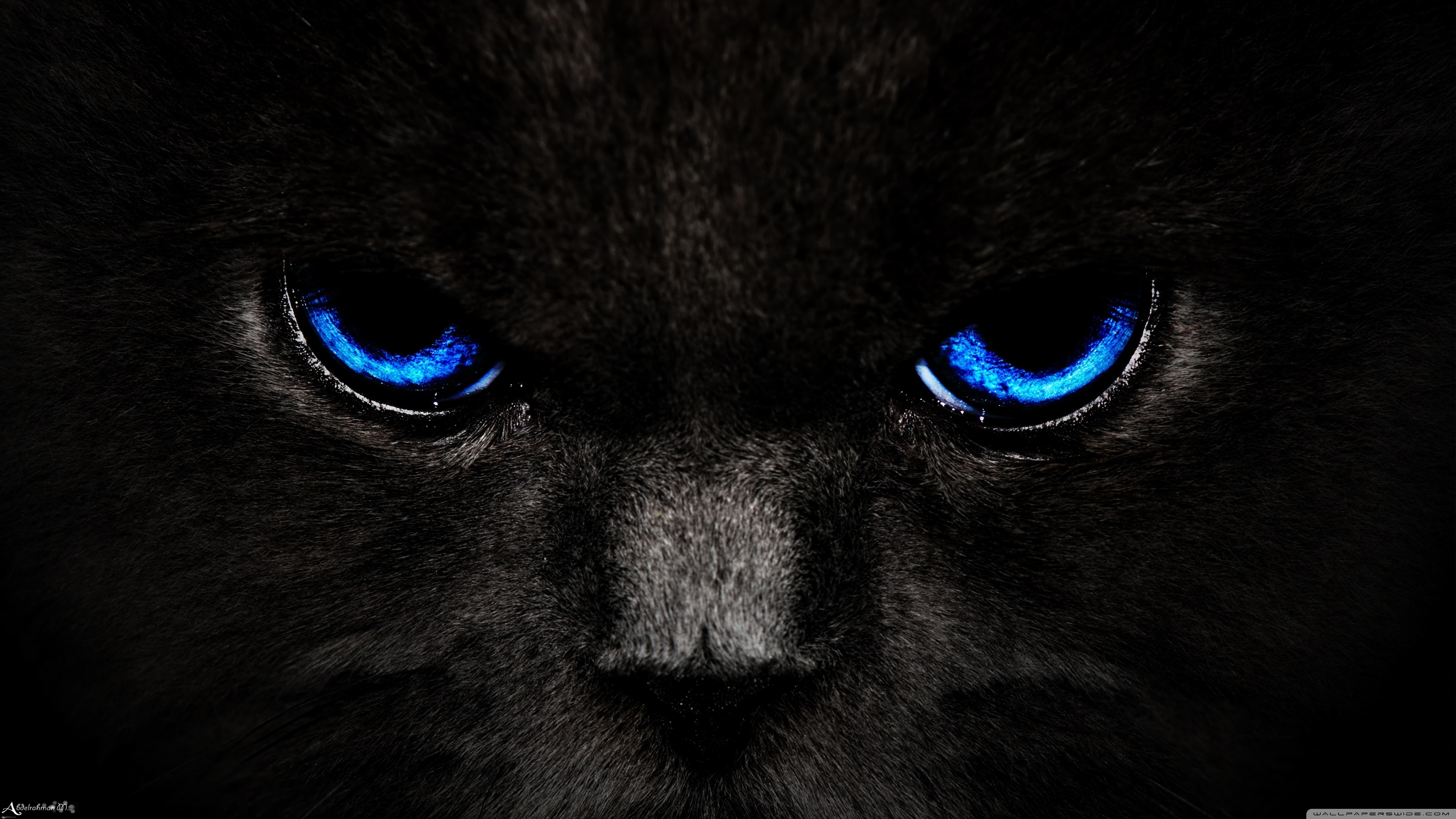 Ultra HD Desktop Background Wallpaper