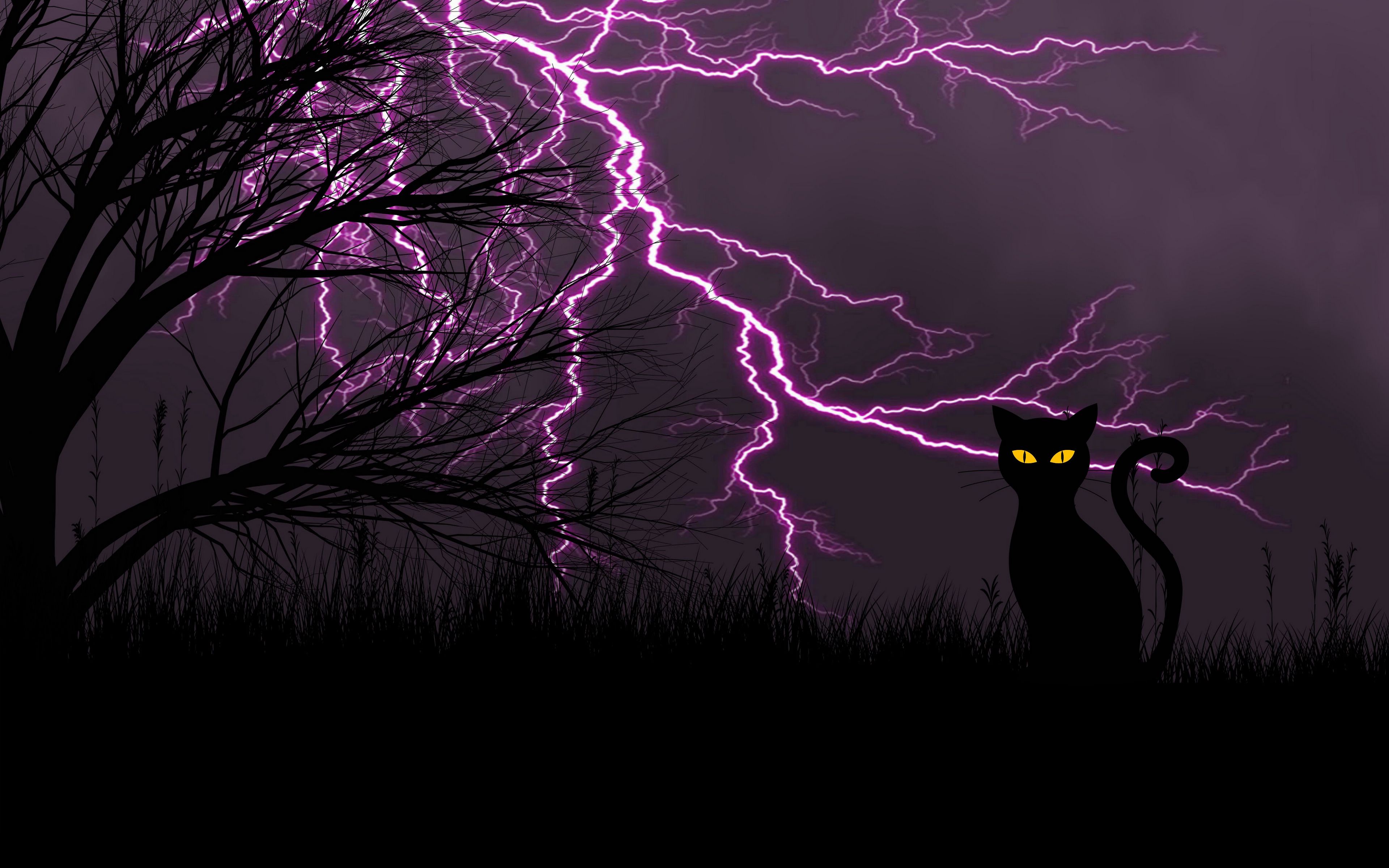 black cat, lightning, art, grass, night