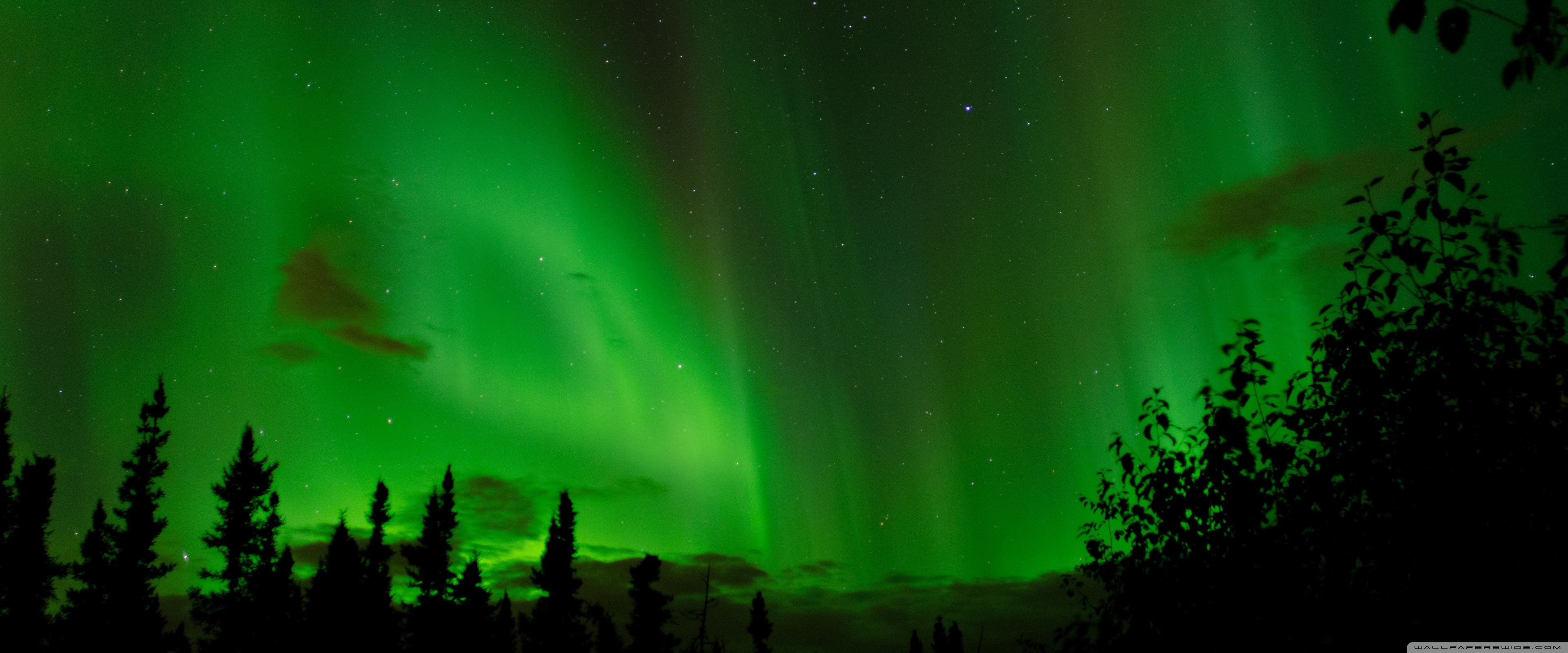 Ultra HD Desktop Background Wallpaper