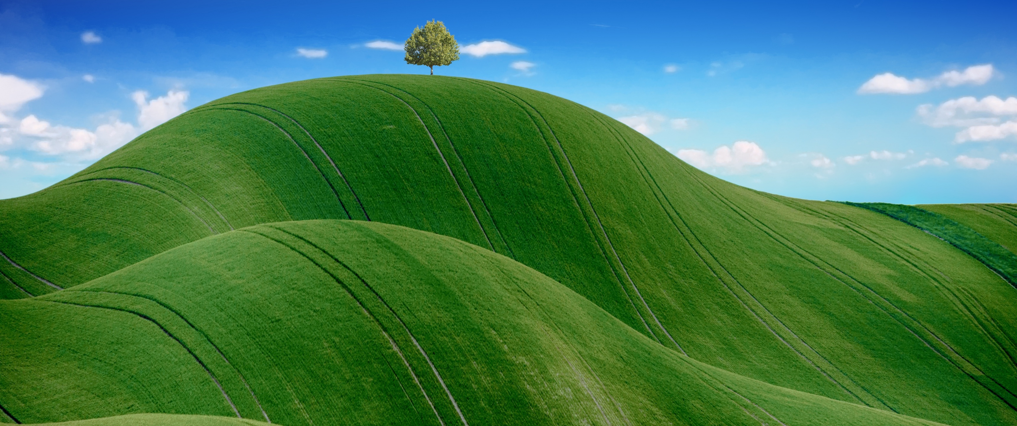 Green Meadow Wallpaper 4K, Countryside