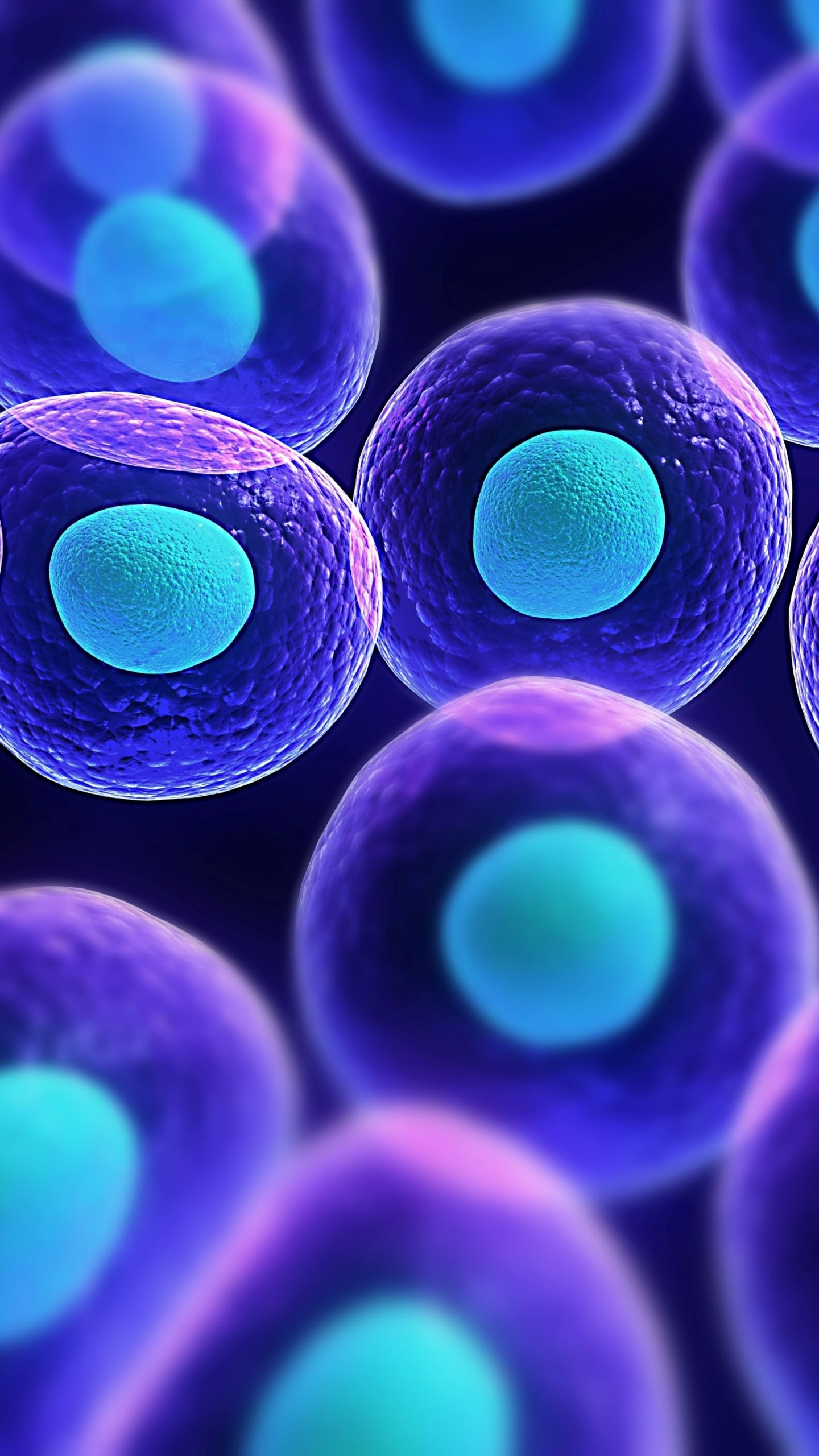 Biology Wallpaper (image inside)