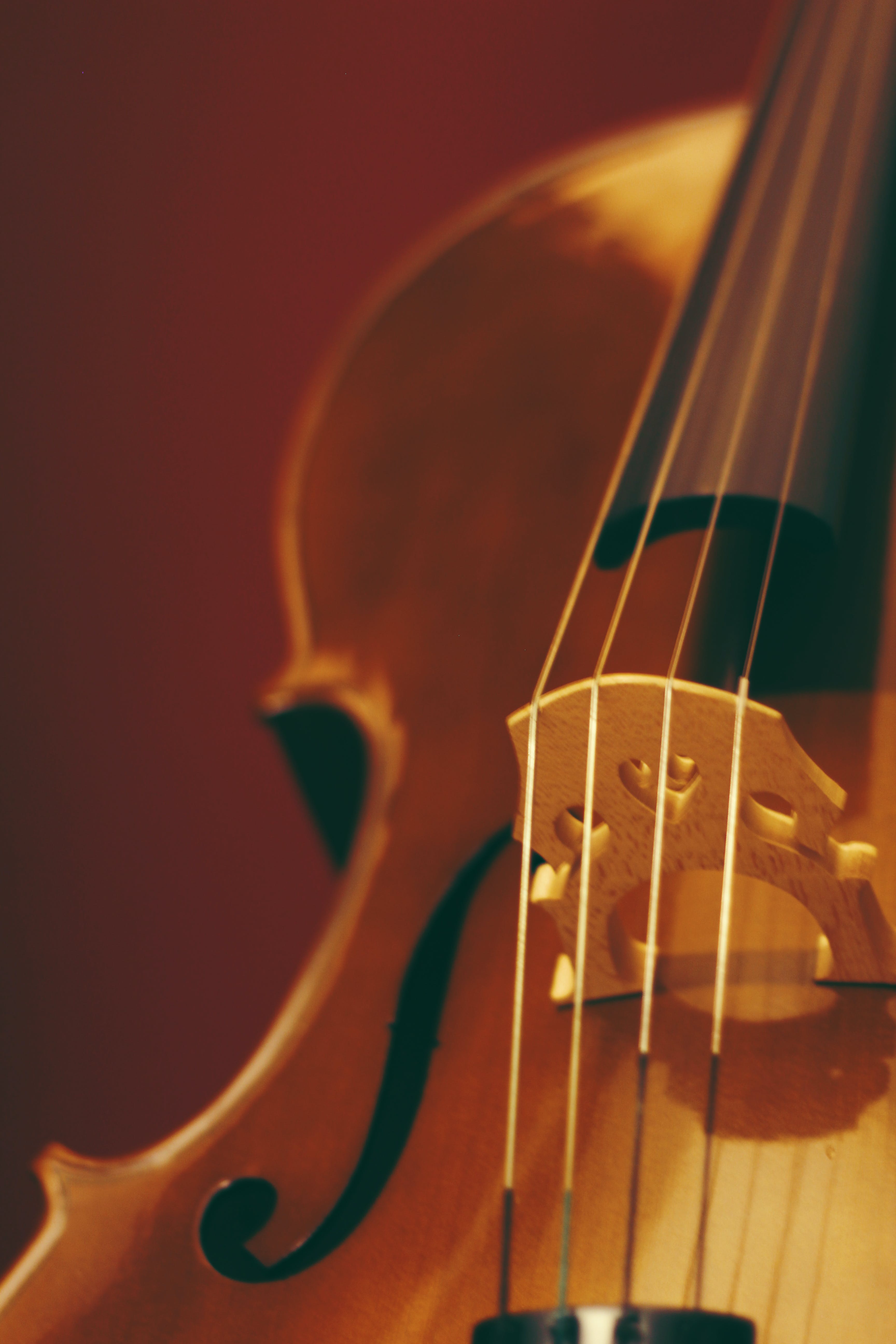 Violin Photo, Download The BEST Free