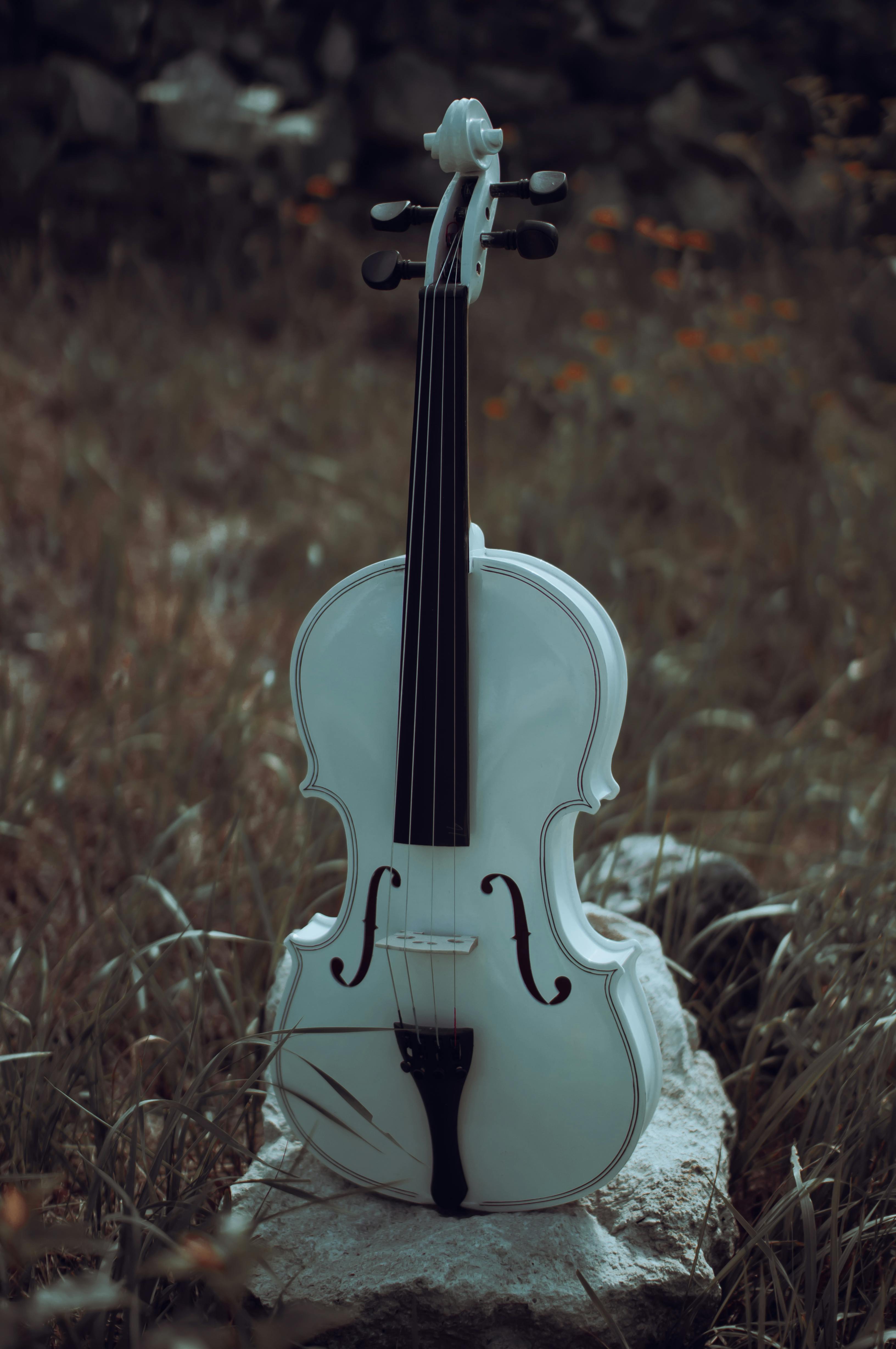 Close up of Violin · Free