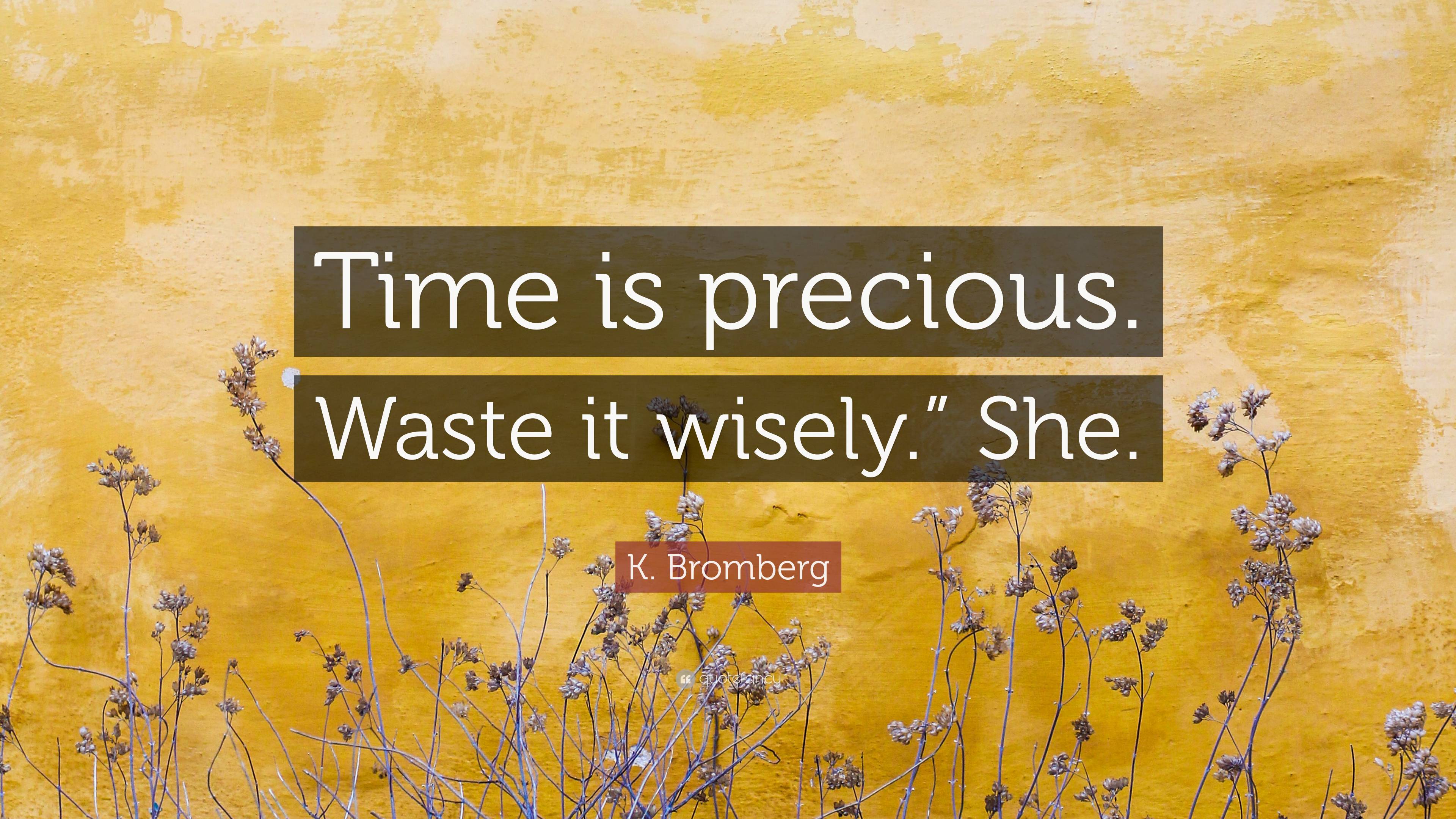 Time is precious. Waste it wisely