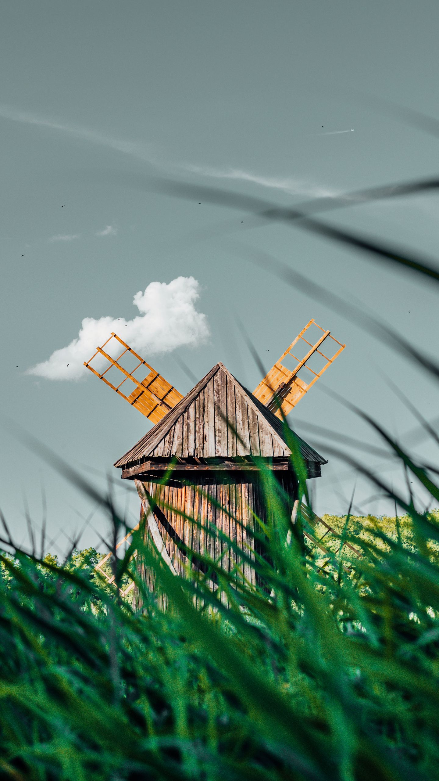 Download wallpaper 1440x2560 windmill