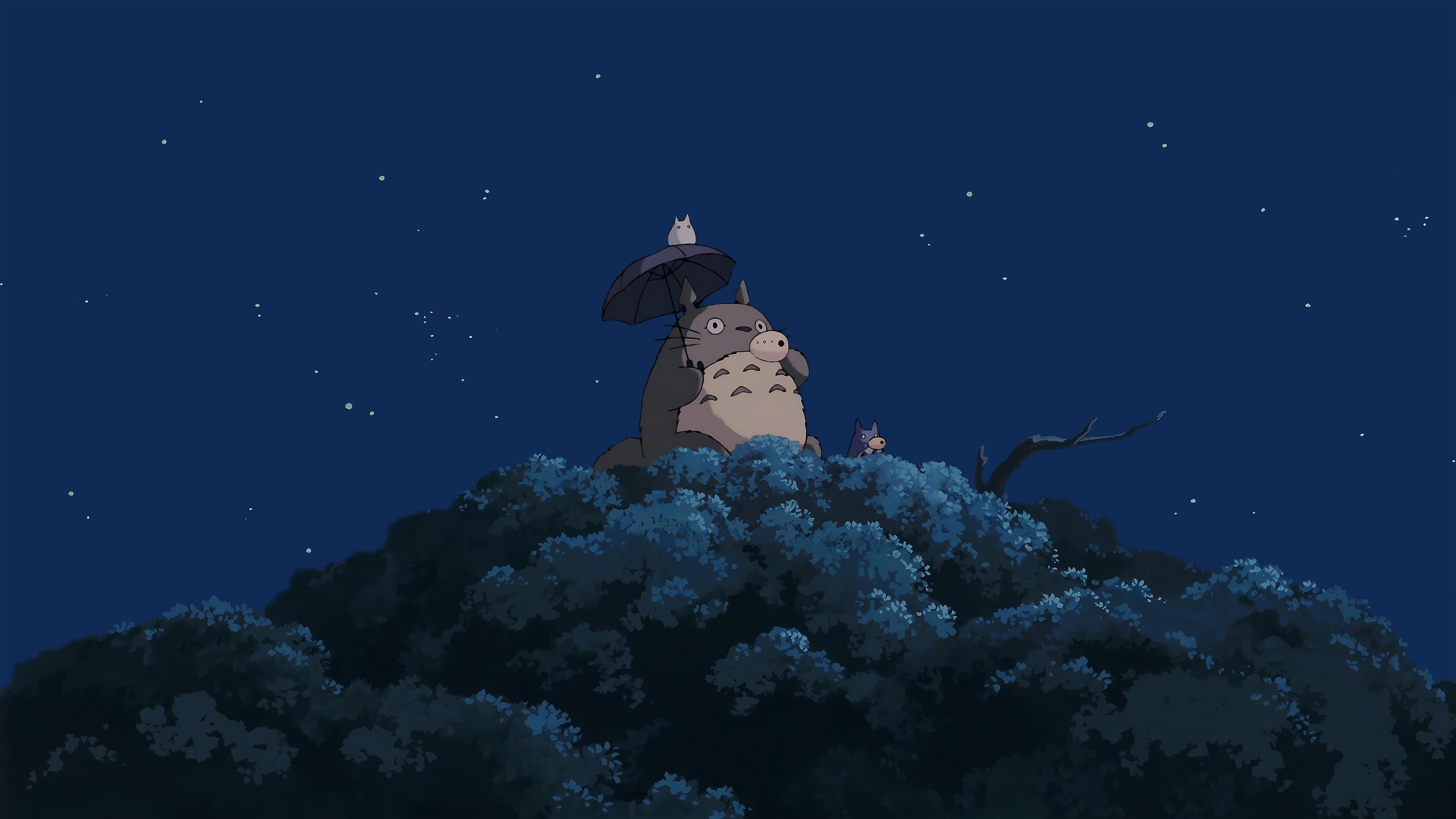 I made a set of Totoro Wallpaper for PC