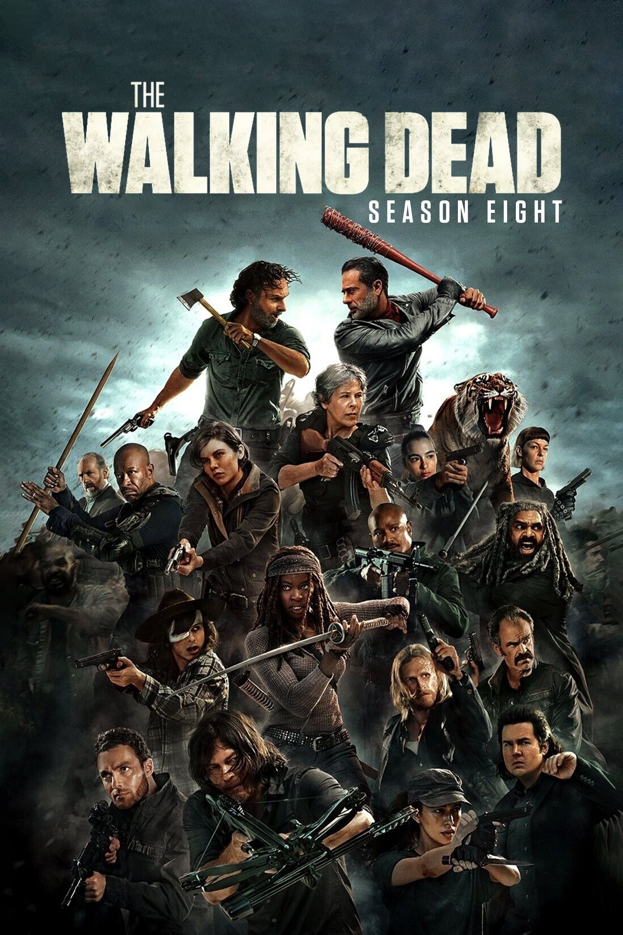 The Walking Dead TV Series 2010 2022
