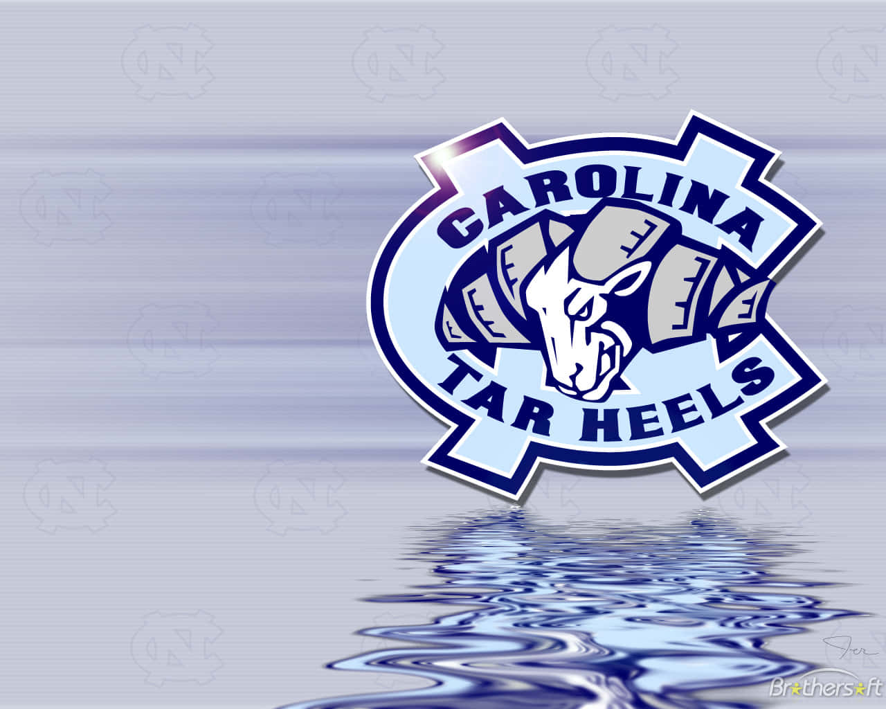 Tar Heels Wallpaper