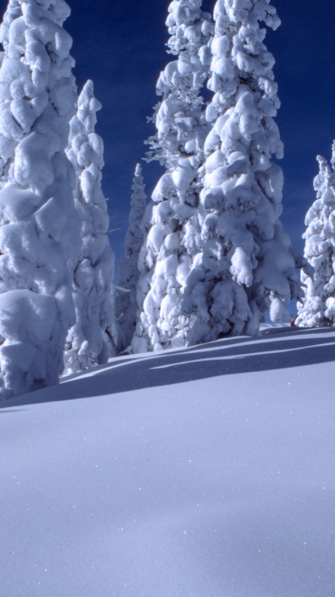 Cabin In Winter Forest iPhone Wallpaper