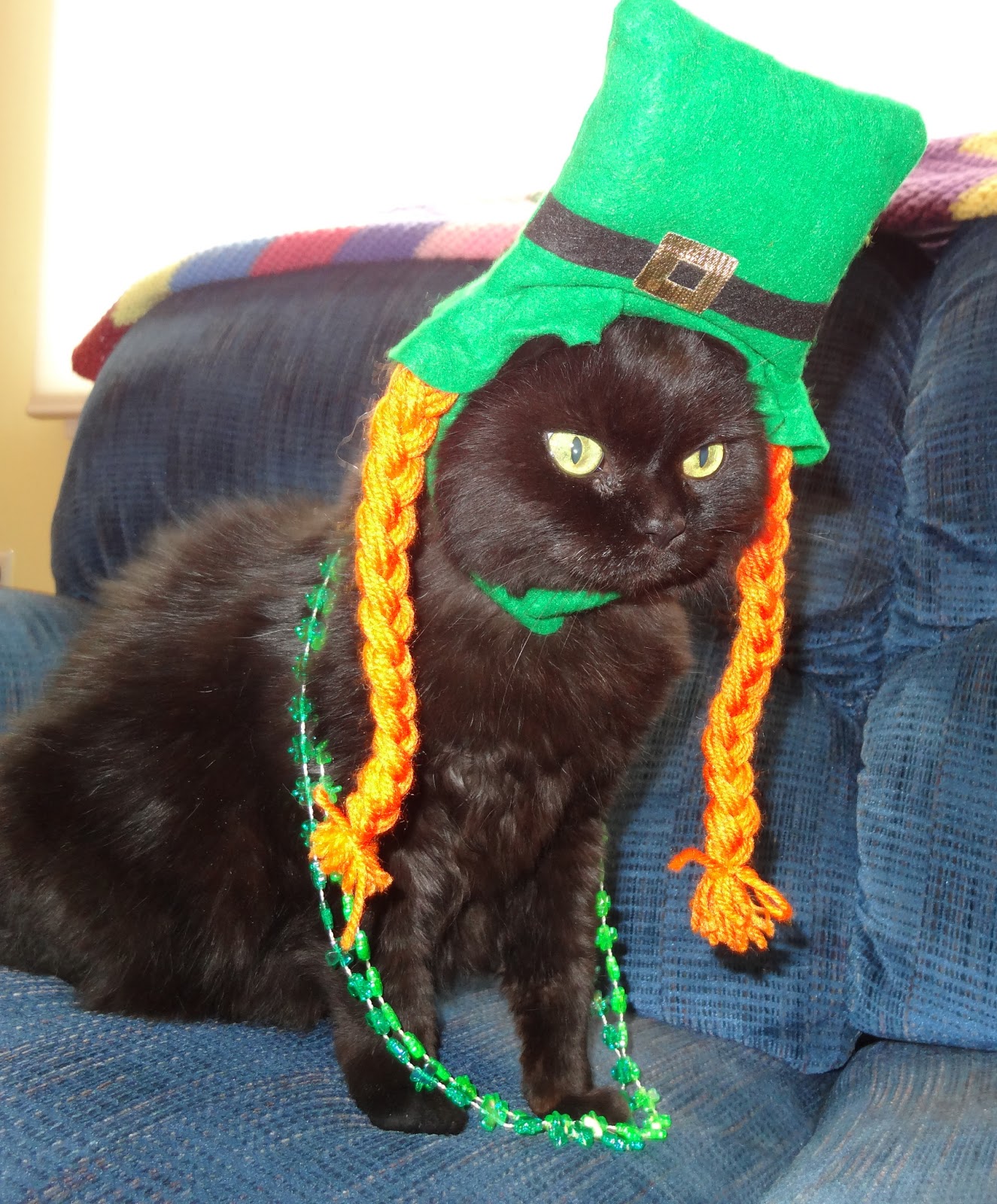 Funny St. Patrick's Day Photo of Moose