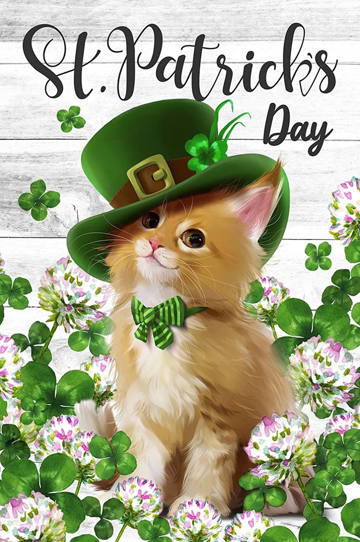 St Patrick's Day Clover Cute Kitty Cat