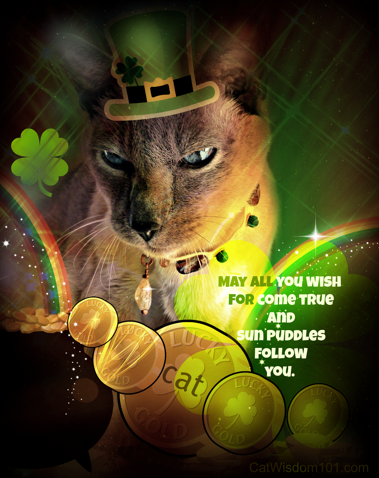 Come Get Your Irish Kitty Luck. Cat