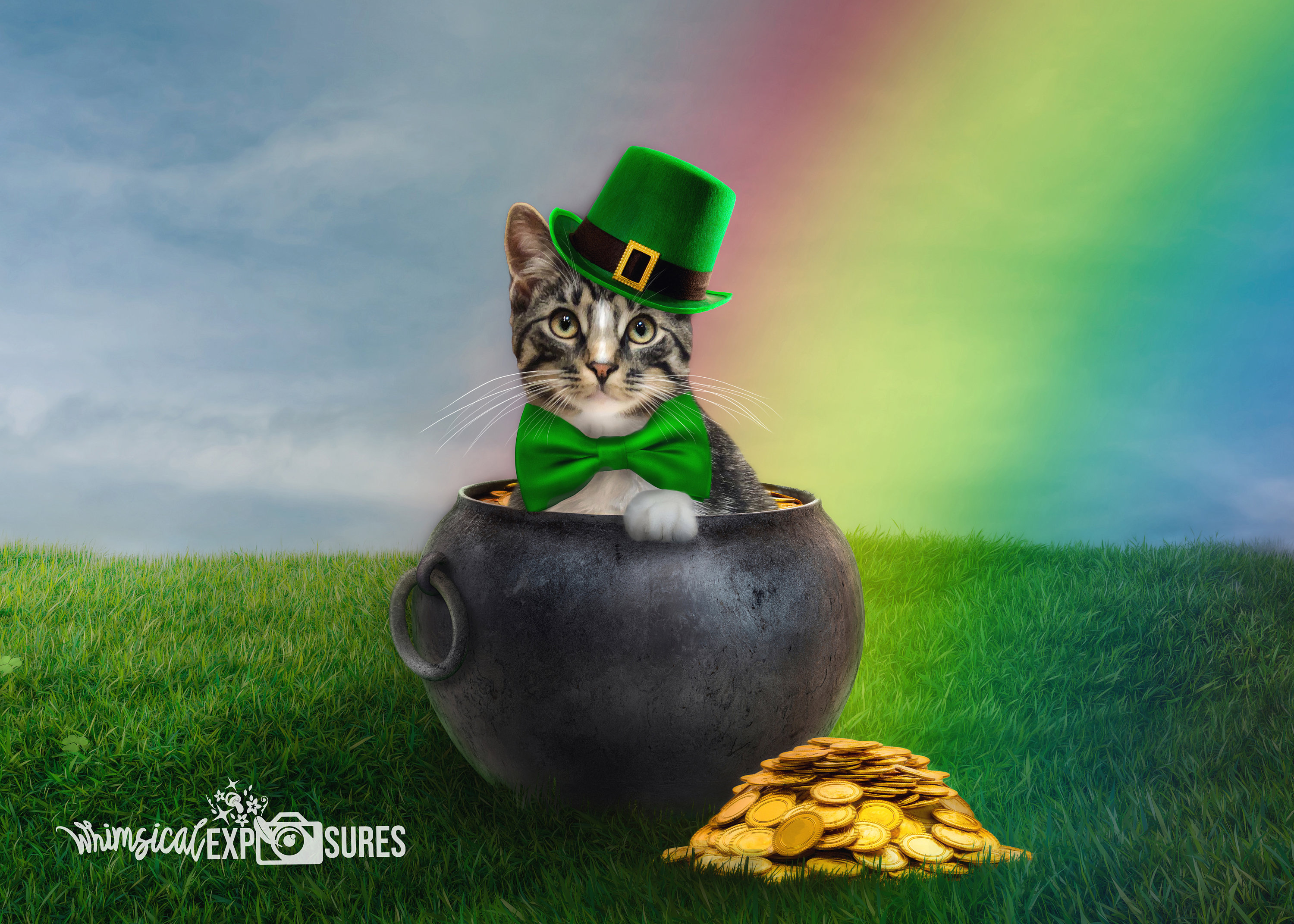 Digital Backdrop, St Patricks Day, Pot