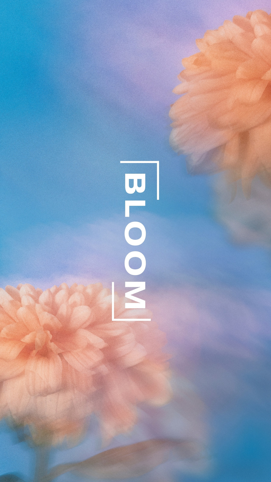 Free spring aesthetic phone wallpaper