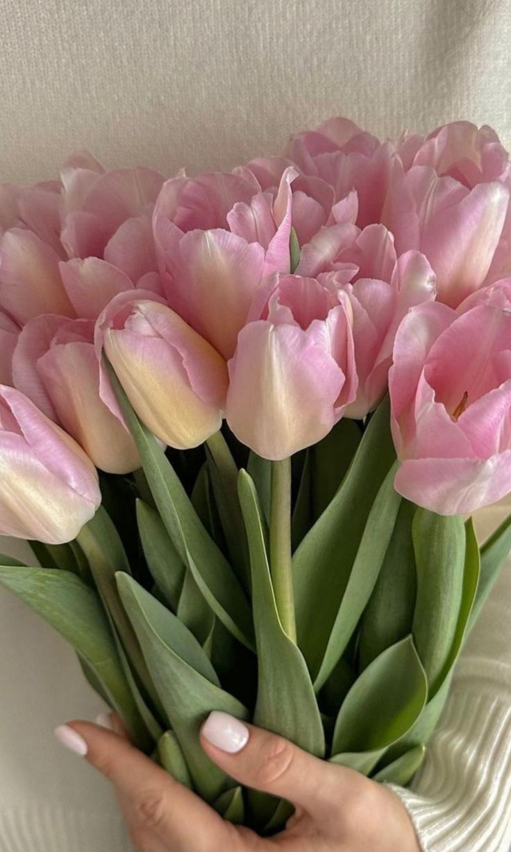 Best Aesthetic Pink Flower Wallpaper