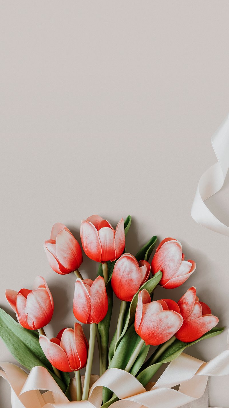 Tulip Background Image. Free Photo