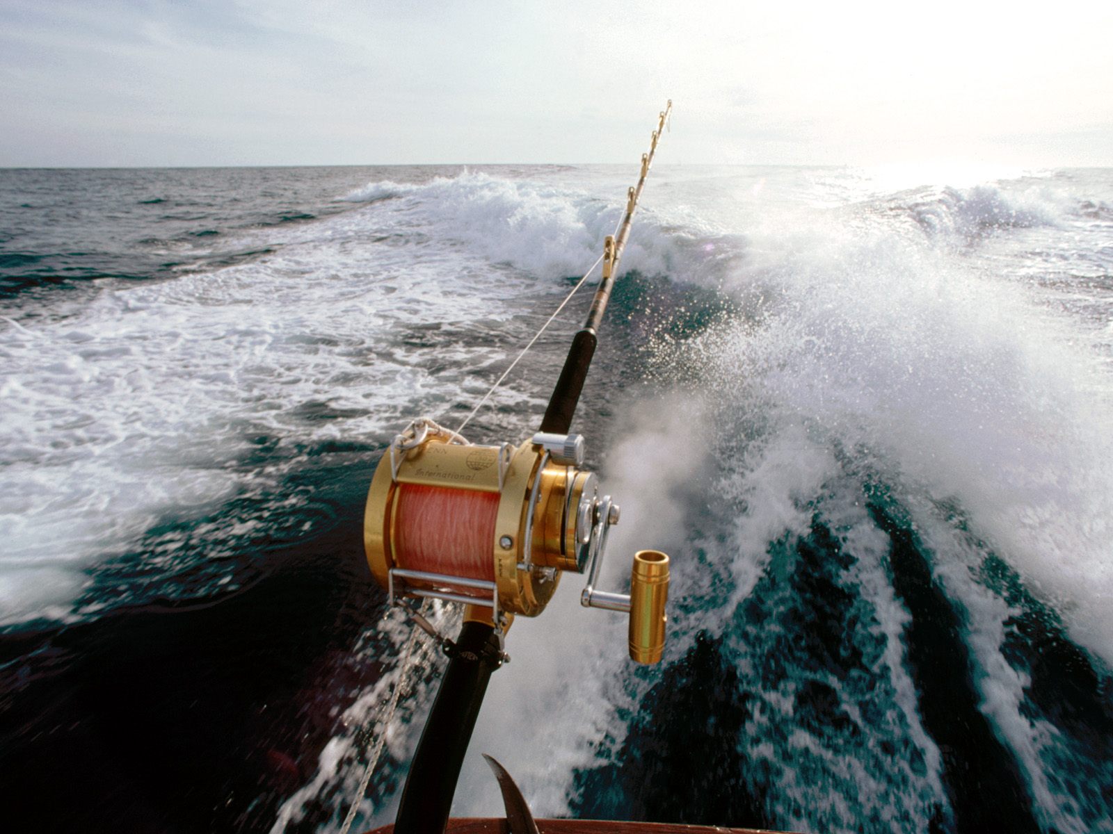 Sports Fishing Wallpaper