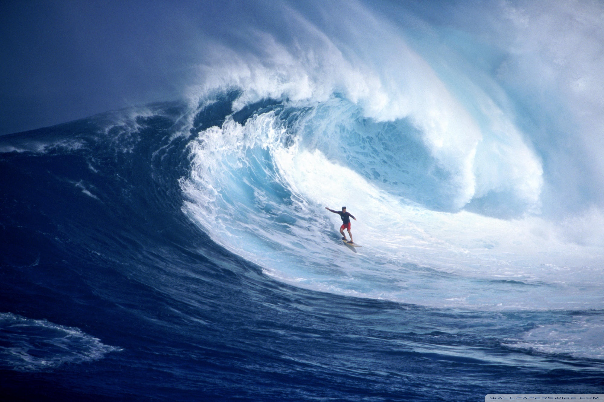 Surfer Ultra HD Desktop Background