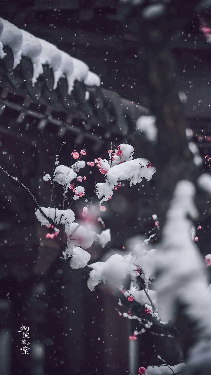 Winter wallpaper, Japanese wallpaper