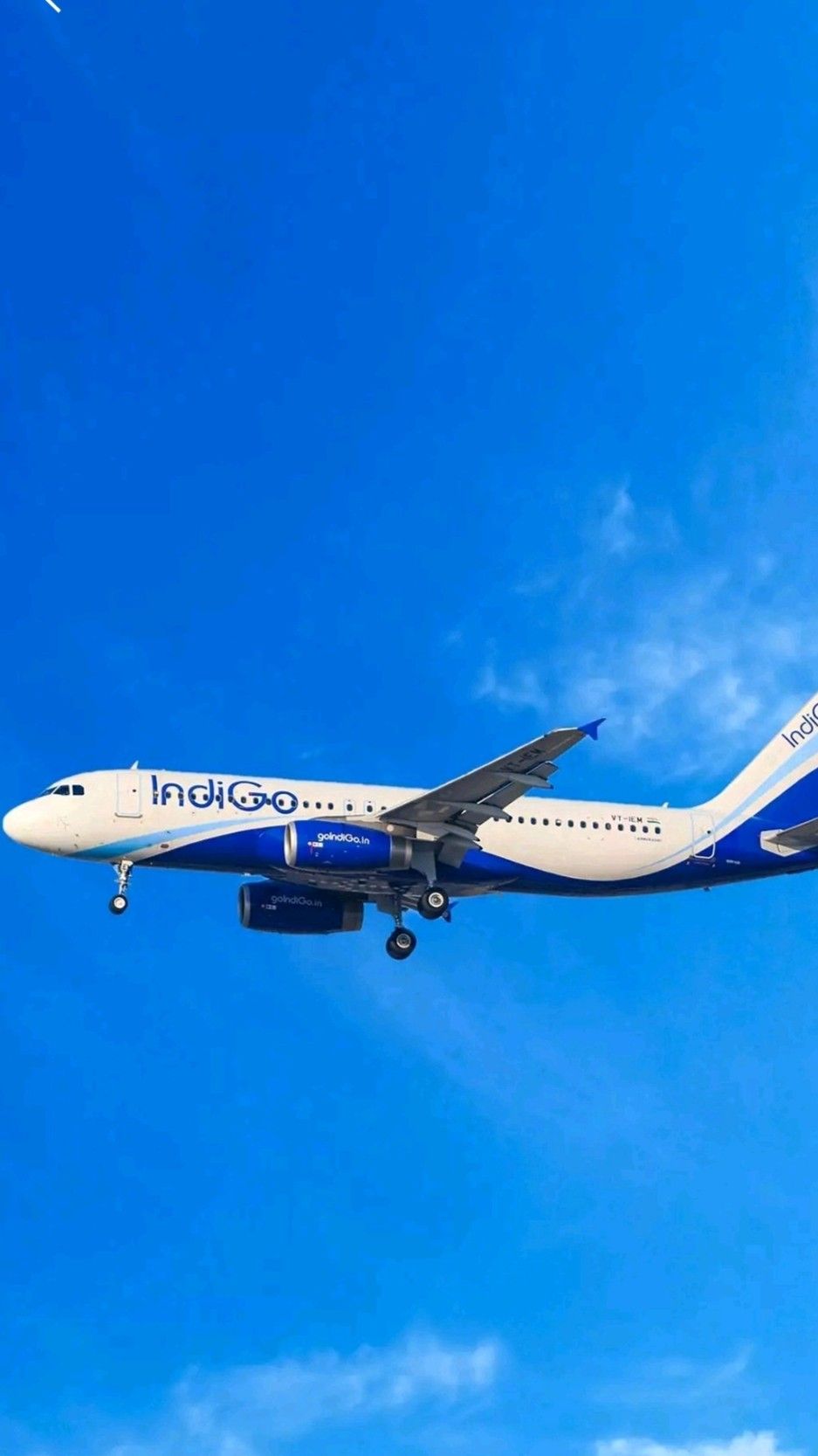 Indigo Airlines Wallpaper