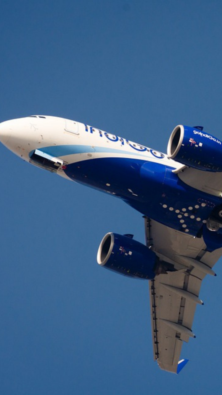 Indigo flies the most passengers abroad