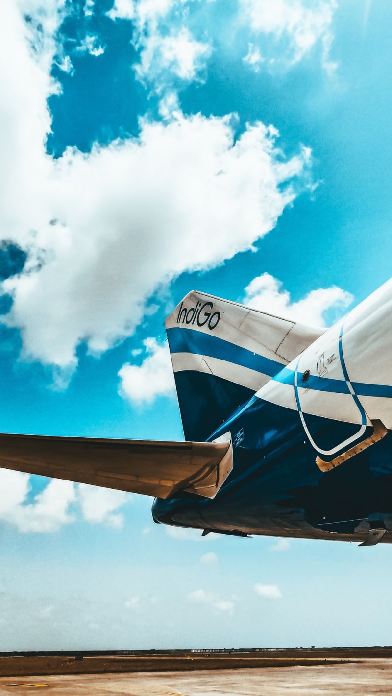 Shalini Kaushal InterGlobe