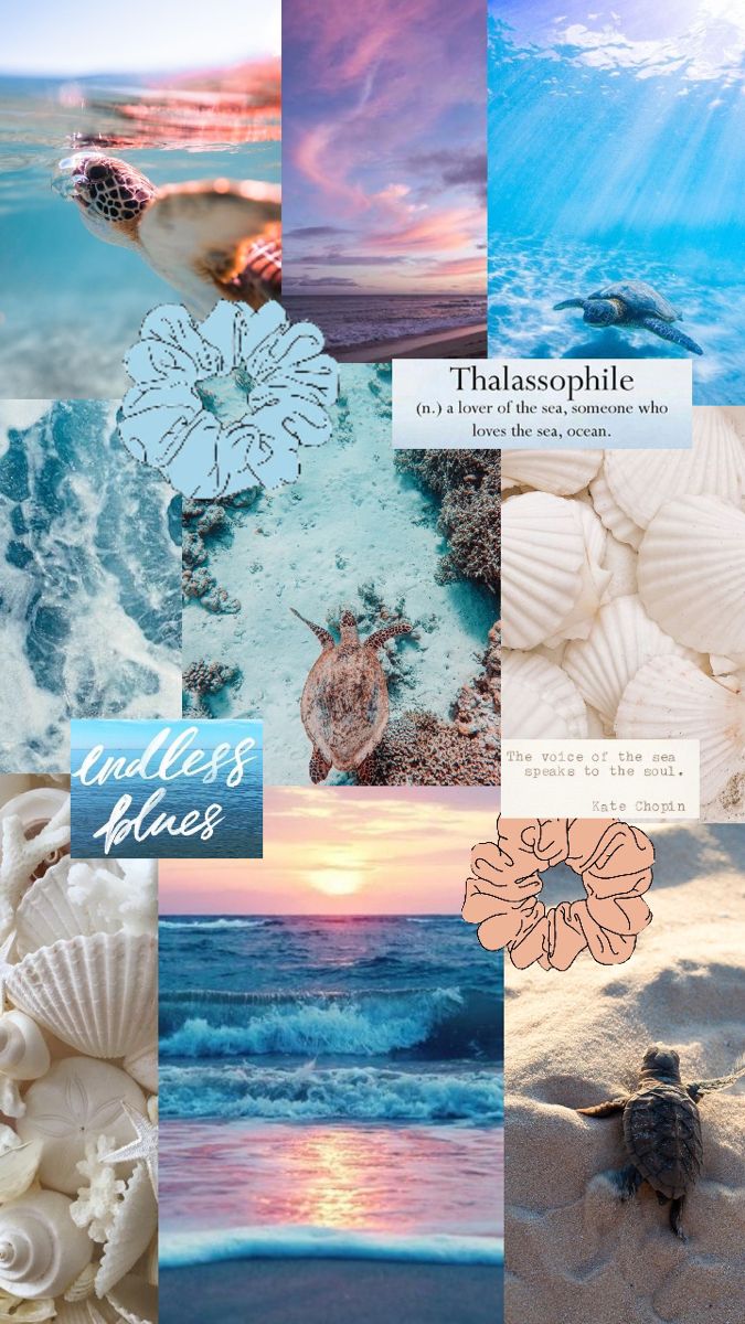 Turtle Visco Wallpaper