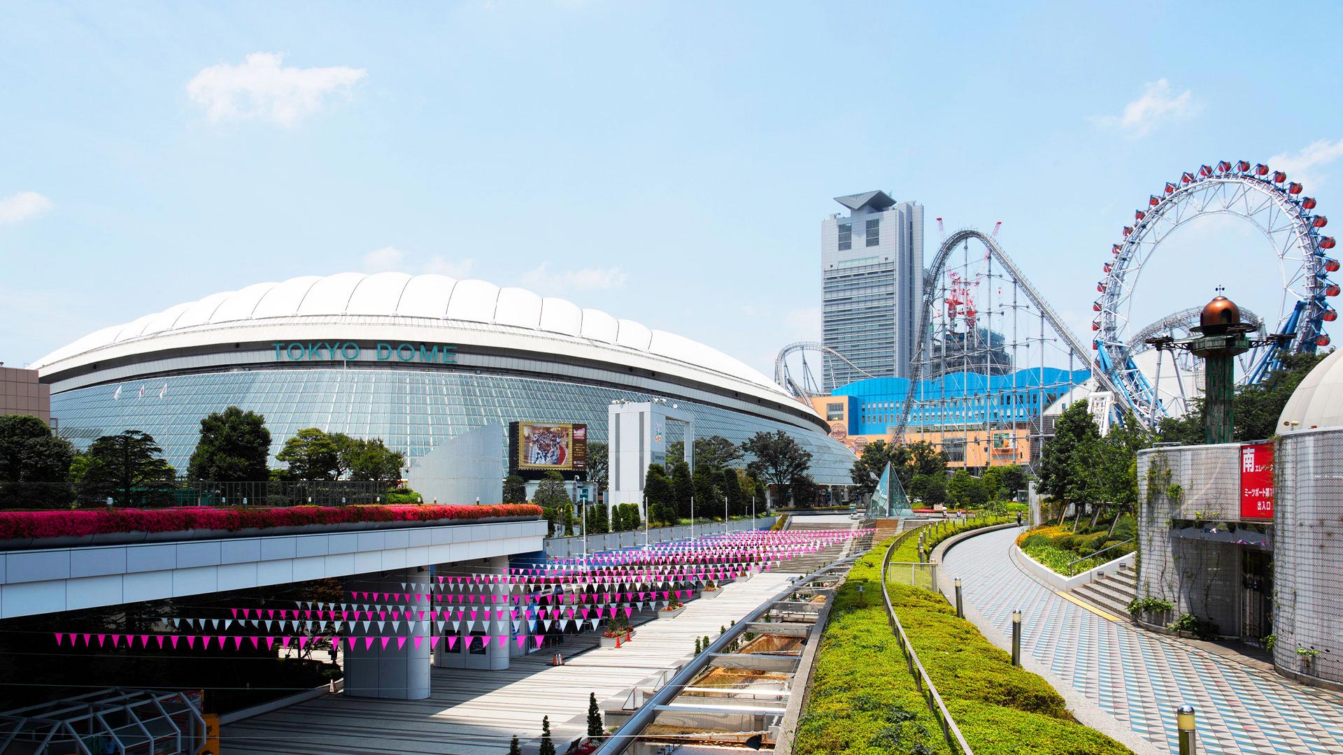 Tokyo Dome & area travel tips: baseball