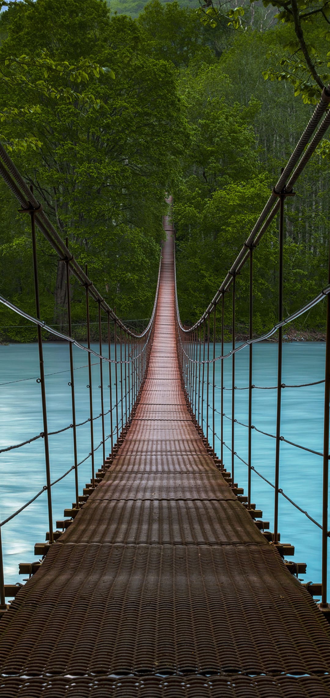 Nature Wallpaper: Best Nature