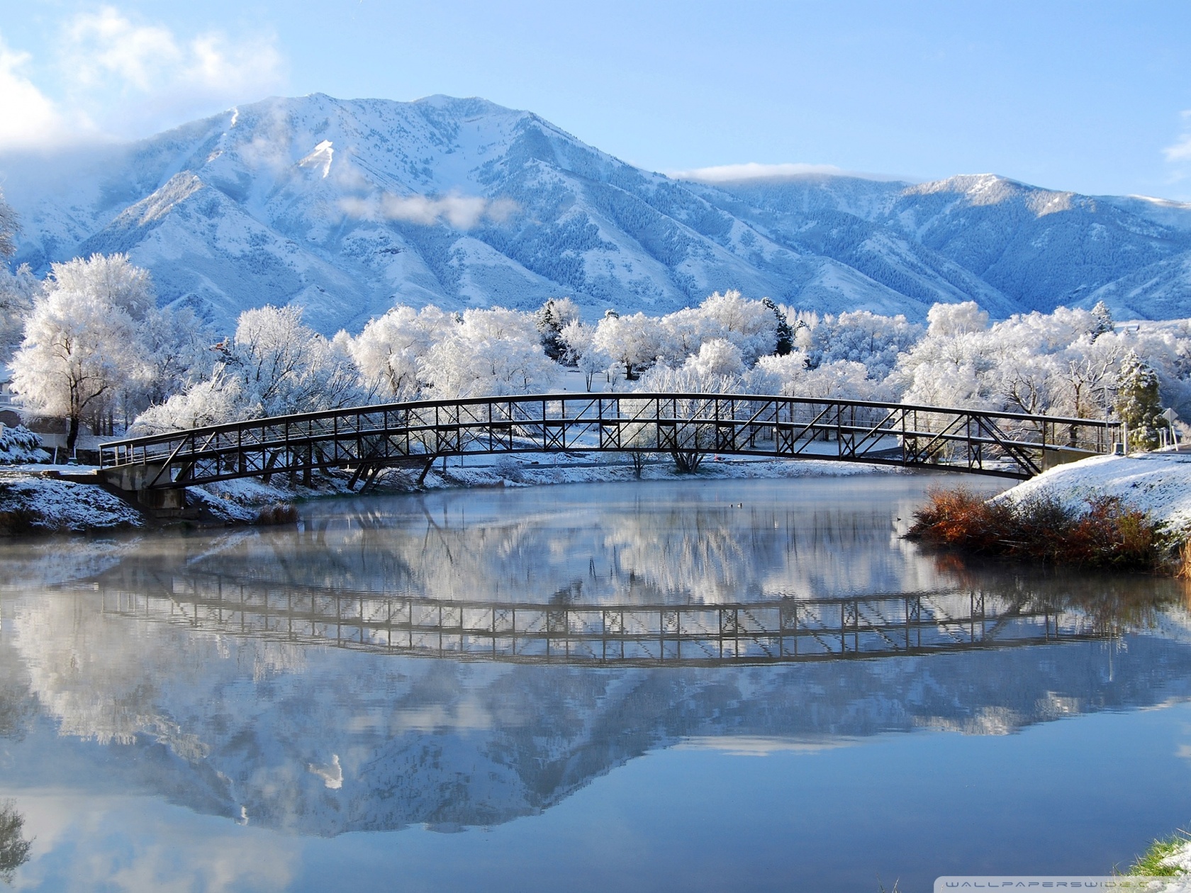 Beautiful Winter Scene Ultra HD Desktop