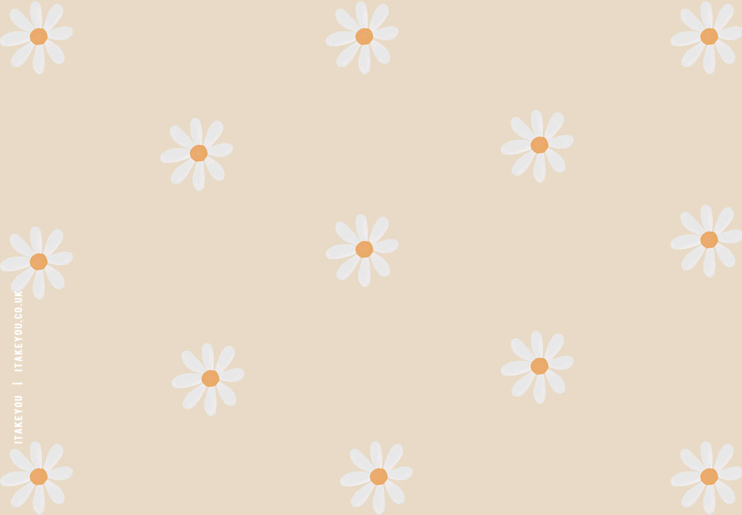 Daisy Wallpaper for iPad
