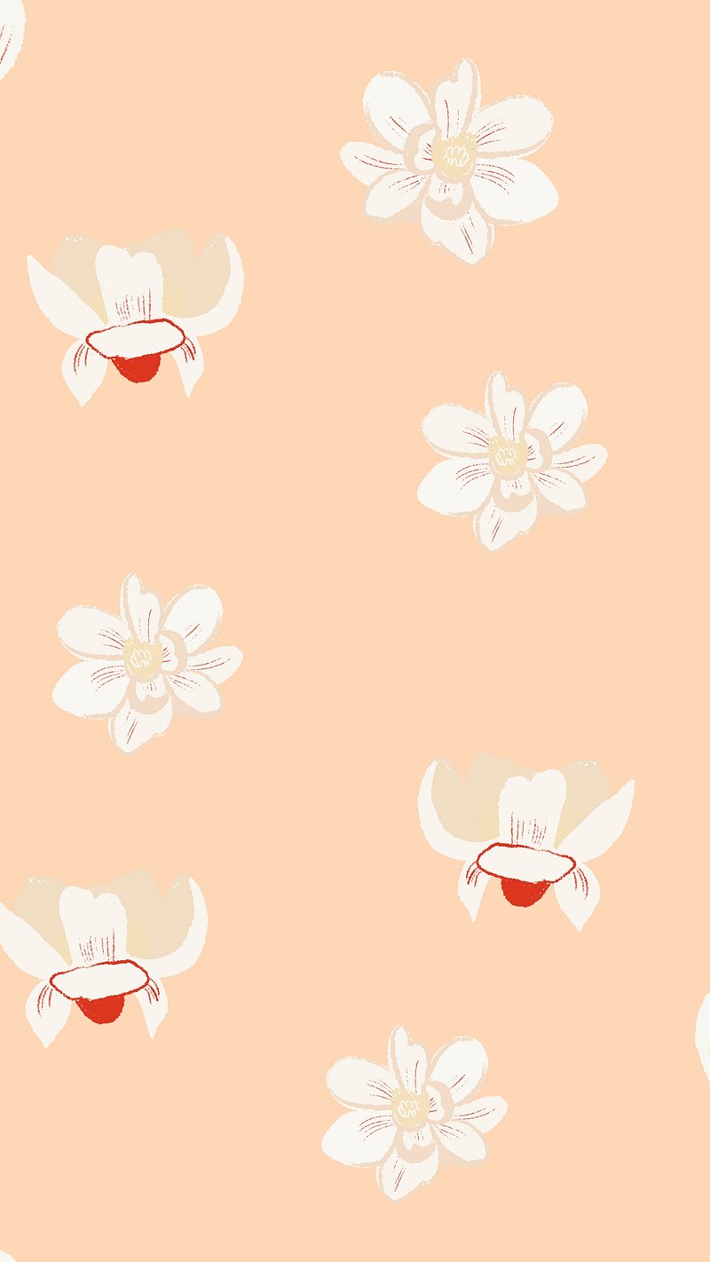 Magnolia Wallpaper Flower Image. Free